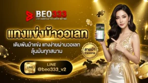แทงแข่งม้าวอเลท 2026