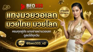 แทงมวยวอเลท มวยไทย มวยโลก ครบทุกสังเวียน